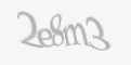 Защитный код